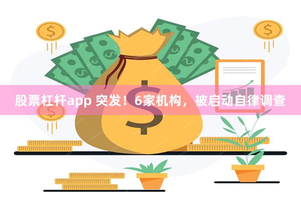 股票杠杆app 突发！6家机构，被启动自律调查