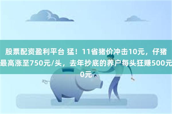 股票配资盈利平台 猛！11省猪价冲击10元，仔猪最高涨至750元/头，去年抄底的养户每头狂赚500元