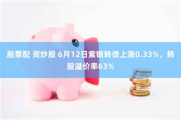 股票配 资炒股 6月12日紫银转债上涨0.33%，转股溢价率63%