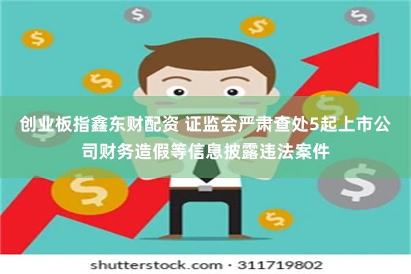 创业板指鑫东财配资 证监会严肃查处5起上市公司财务造假等信息披露违法案件