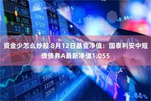 资金少怎么炒股 8月12日基金净值：国泰利安中短债债券A最新净值1.055