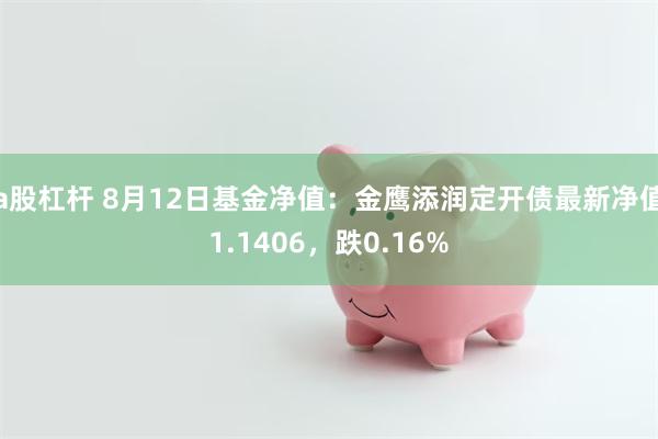 a股杠杆 8月12日基金净值：金鹰添润定开债最新净值1.1406，跌0.16%