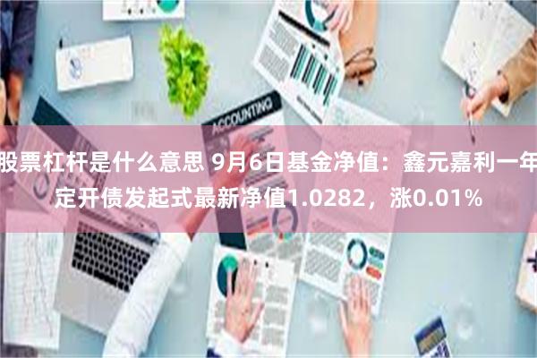 股票杠杆是什么意思 9月6日基金净值：鑫元嘉利一年定开债发起式最新净值1.0282，涨0.01%