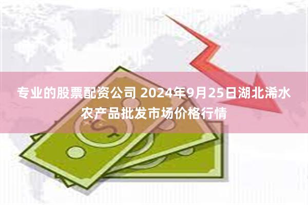 专业的股票配资公司 2024年9月25日湖北浠水农产品批发市场价格行情