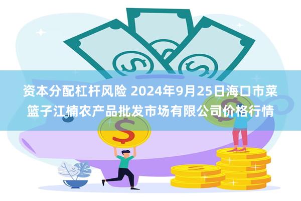 资本分配杠杆风险 2024年9月25日海口市菜篮子江楠农产品批发市场有限公司价格行情