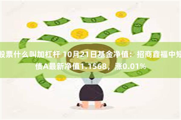 股票什么叫加杠杆 10月21日基金净值：招商鑫福中短债A最新净值1.1568，涨0.01%