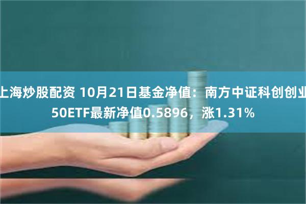 上海炒股配资 10月21日基金净值：南方中证科创创业50ETF最新净值0.5896，涨1.31%