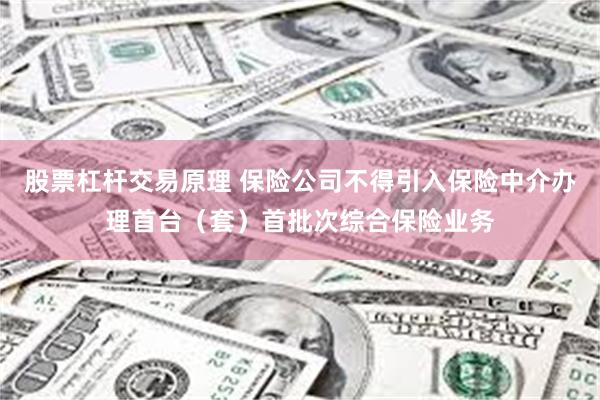 股票杠杆交易原理 保险公司不得引入保险中介办理首台（套）首批次综合保险业务