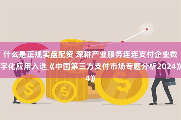 什么是正规实盘配资 深耕产业服务连连支付企业数字化应用入选《中国第三方支付市场专题分析2024》