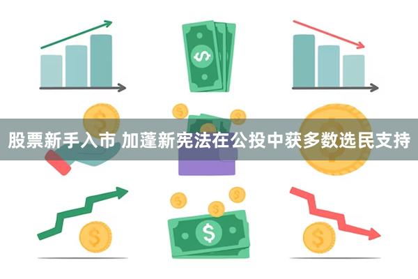 股票新手入市 加蓬新宪法在公投中获多数选民支持