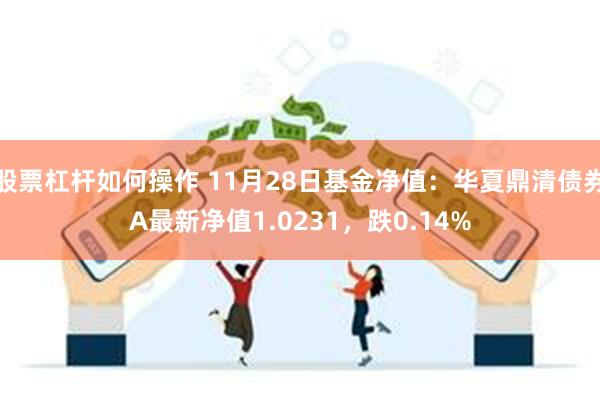 股票杠杆如何操作 11月28日基金净值：华夏鼎清债券A最新净值1.0231，跌0.14%