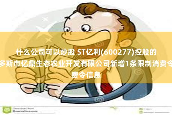 什么公司可以炒股 ST亿利(600277)控股的鄂尔多斯市亿鼎生态农业开发有限公司新增1条限制消费令信息