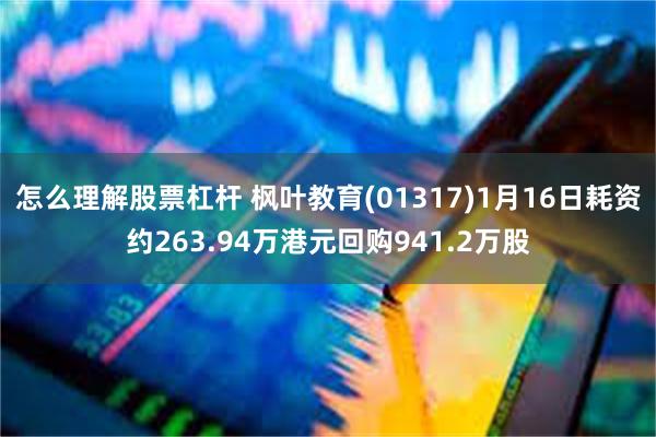 怎么理解股票杠杆 枫叶教育(01317)1月16日耗资约263.94万港元回购941.2万股